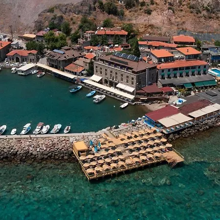 Assos Troy Port