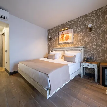 Hotel Assos Troy Port *