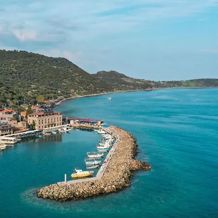 Assos Troy Port *